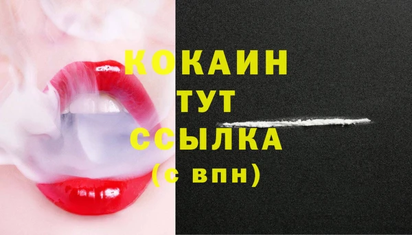 тгк Каменка