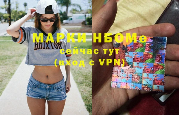 тгк Каменка
