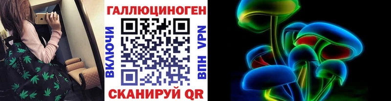 Галлюциногенные грибы Psilocybe  Ленинградская 