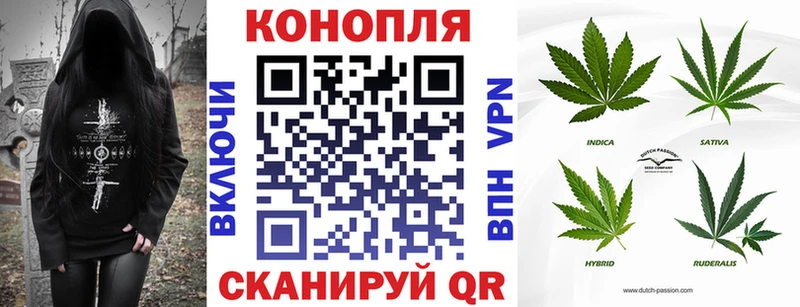 наркота Ленинградская это какой сайт Канабис White Widow